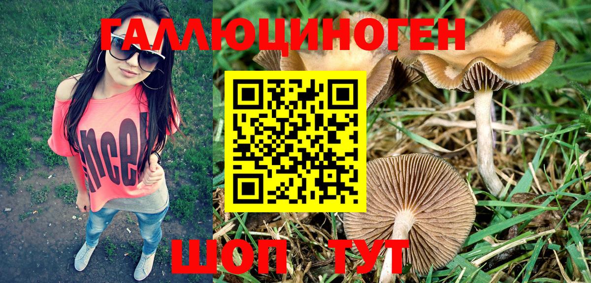 Псилоцибиновые грибы Psilocybine cubensis  Вход с VPN  Калуга 
