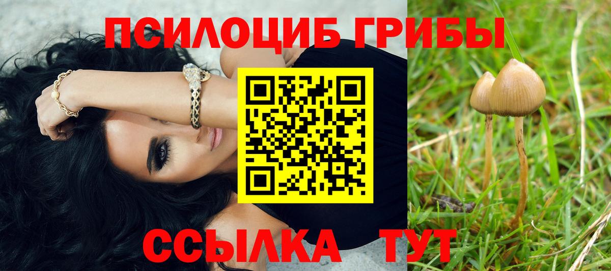 Галлюциногенные грибы мухоморы Калуга